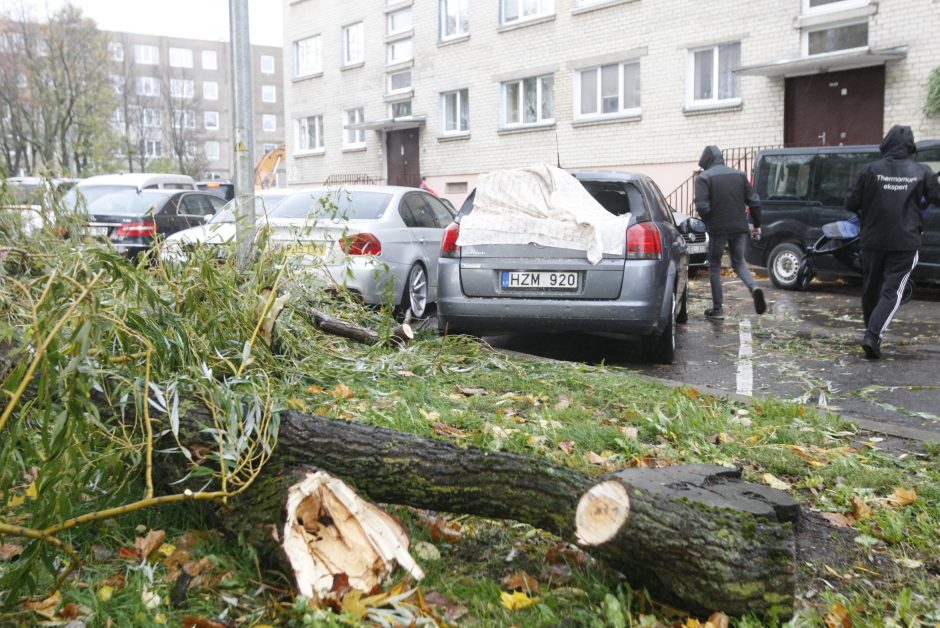 Vėtra uostamiestyje: niokojami automobiliai, į uostą neįplaukia laivai