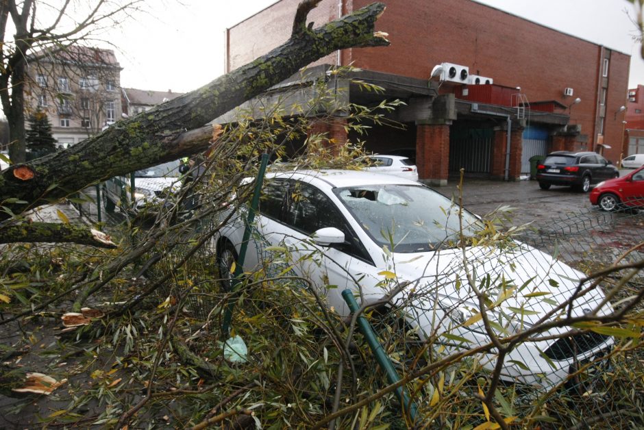 Vėtra uostamiestyje: niokojami automobiliai, į uostą neįplaukia laivai