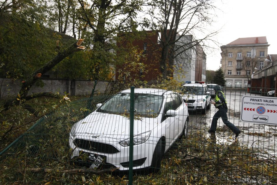 Vėtra uostamiestyje: niokojami automobiliai, į uostą neįplaukia laivai