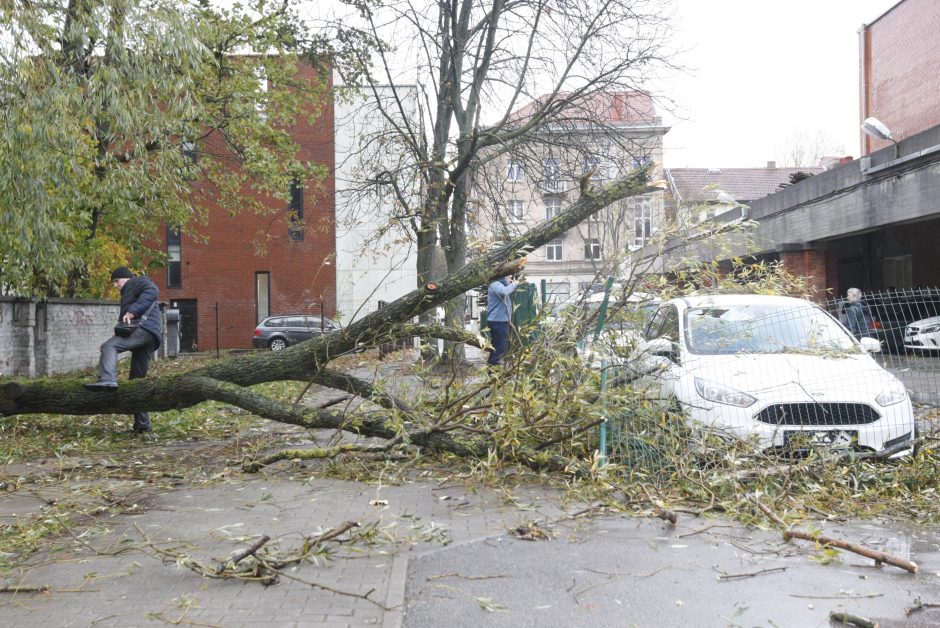 Vėtra uostamiestyje: niokojami automobiliai, į uostą neįplaukia laivai