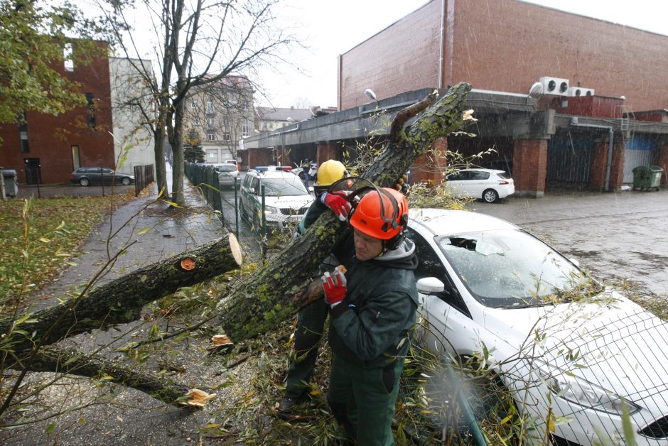 Vėtra uostamiestyje: niokojami automobiliai, į uostą neįplaukia laivai