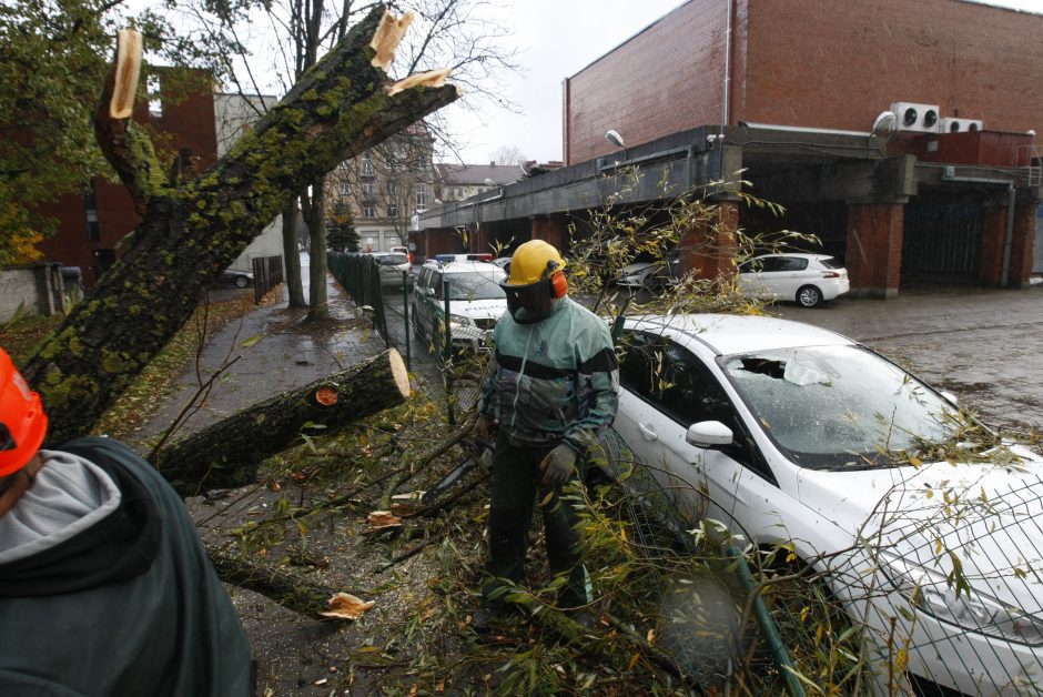 Vėtra uostamiestyje: niokojami automobiliai, į uostą neįplaukia laivai