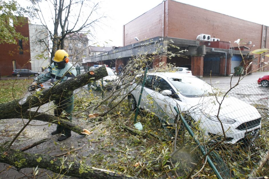 Vėtra uostamiestyje: niokojami automobiliai, į uostą neįplaukia laivai