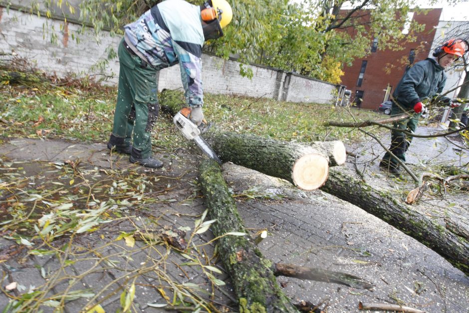 Vėtra uostamiestyje: niokojami automobiliai, į uostą neįplaukia laivai