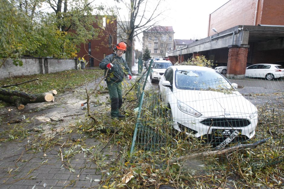 Vėtra uostamiestyje: niokojami automobiliai, į uostą neįplaukia laivai