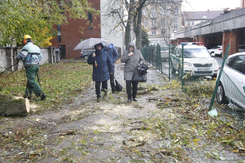 Vėtra uostamiestyje: niokojami automobiliai, į uostą neįplaukia laivai