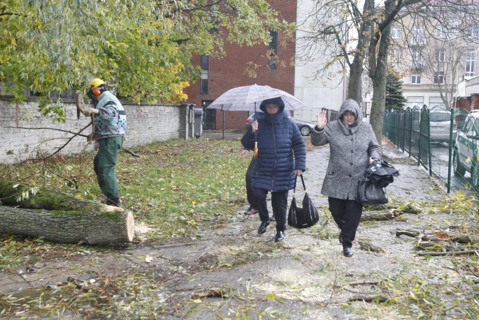 Vėtra uostamiestyje: niokojami automobiliai, į uostą neįplaukia laivai