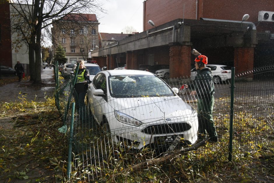 Vėtra uostamiestyje: niokojami automobiliai, į uostą neįplaukia laivai