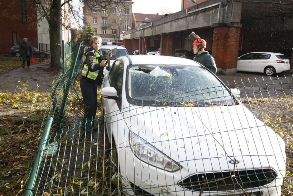 Vėtra uostamiestyje: niokojami automobiliai, į uostą neįplaukia laivai