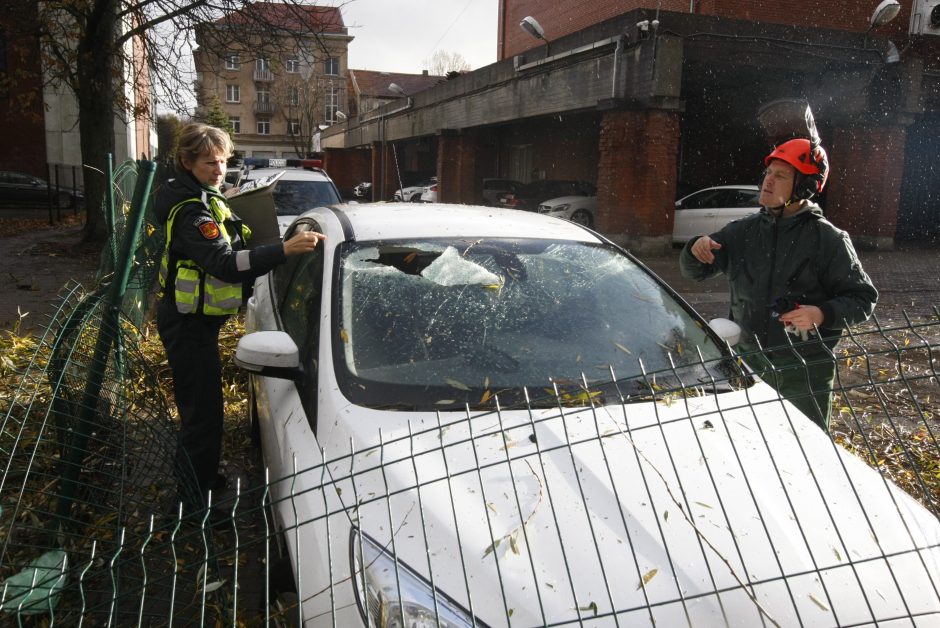 Vėtra uostamiestyje: niokojami automobiliai, į uostą neįplaukia laivai