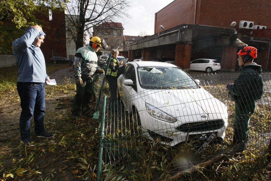 Vėtra uostamiestyje: niokojami automobiliai, į uostą neįplaukia laivai