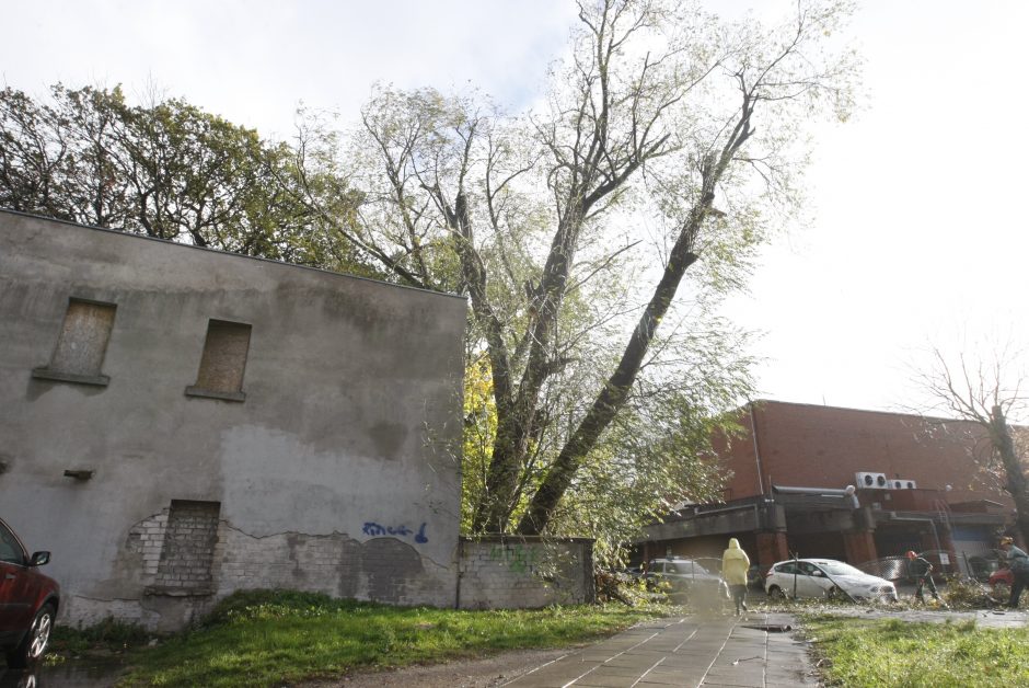 Vėtra uostamiestyje: niokojami automobiliai, į uostą neįplaukia laivai