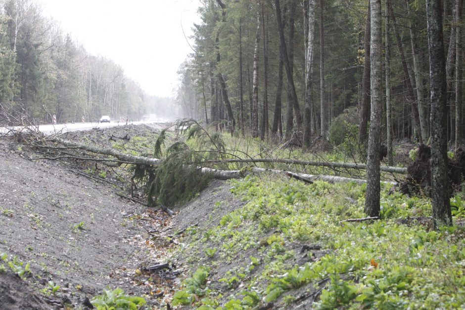 Vėtra uostamiestyje: niokojami automobiliai, į uostą neįplaukia laivai