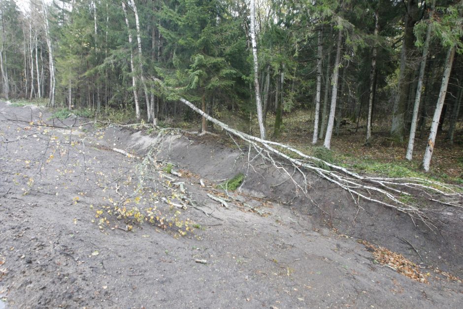 Vėtra uostamiestyje: niokojami automobiliai, į uostą neįplaukia laivai