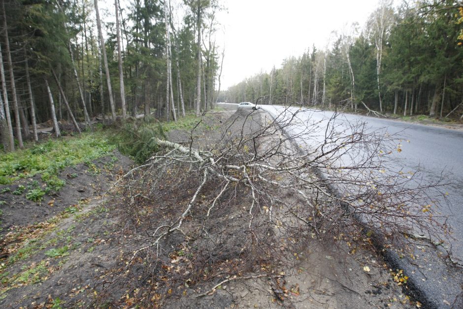 Vėtra uostamiestyje: niokojami automobiliai, į uostą neįplaukia laivai