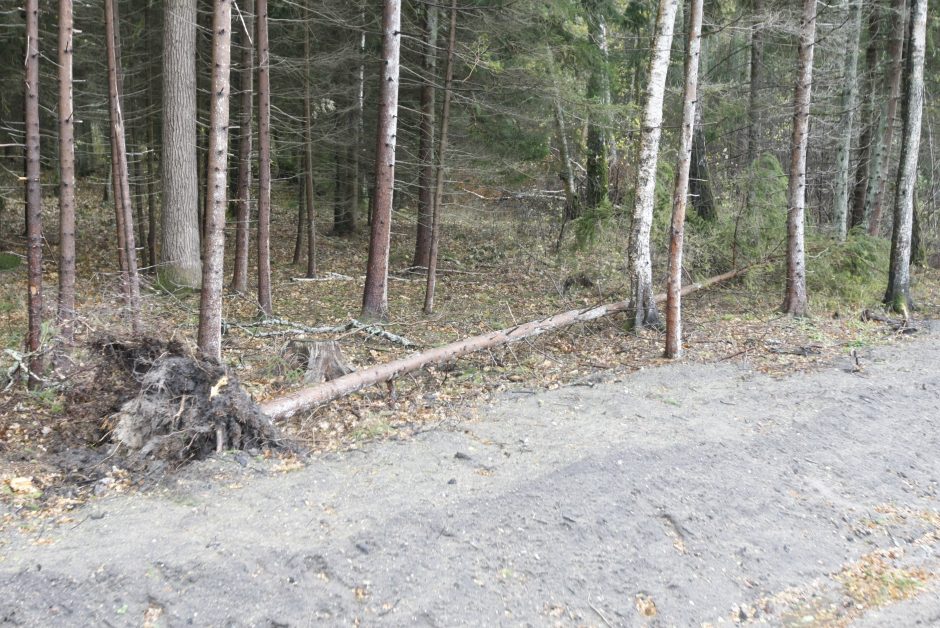 Vėtra uostamiestyje: niokojami automobiliai, į uostą neįplaukia laivai