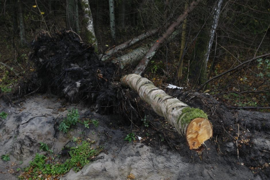 Vėtra uostamiestyje: niokojami automobiliai, į uostą neįplaukia laivai