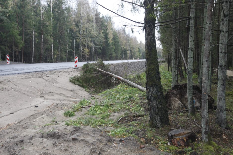 Vėtra uostamiestyje: niokojami automobiliai, į uostą neįplaukia laivai