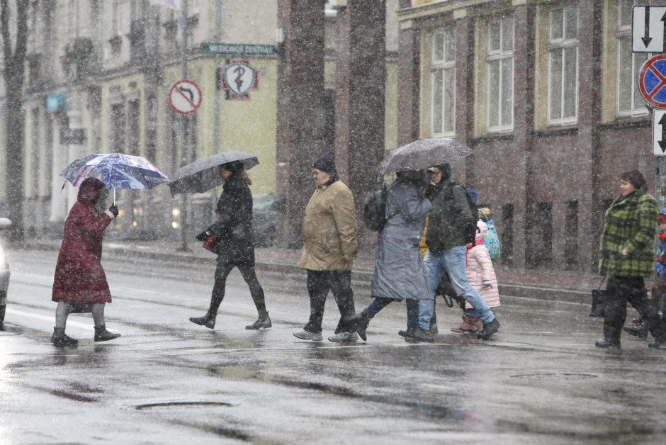 Uostamiestyje pasirodė pirmosios snaigės