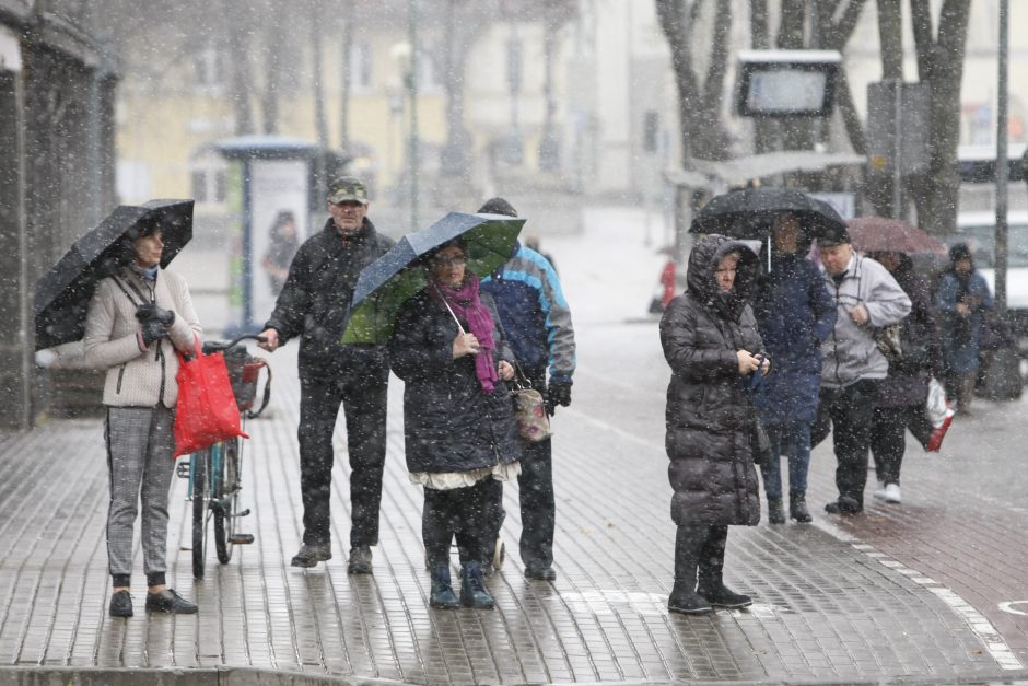 Uostamiestyje pasirodė pirmosios snaigės