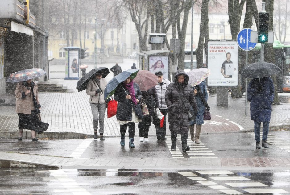 Uostamiestyje pasirodė pirmosios snaigės