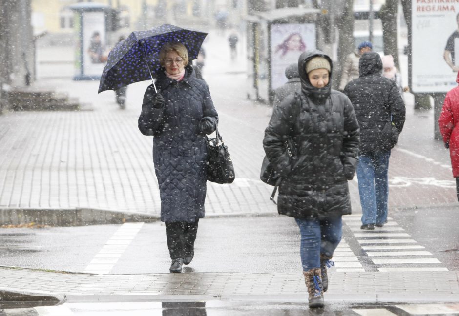 Uostamiestyje pasirodė pirmosios snaigės