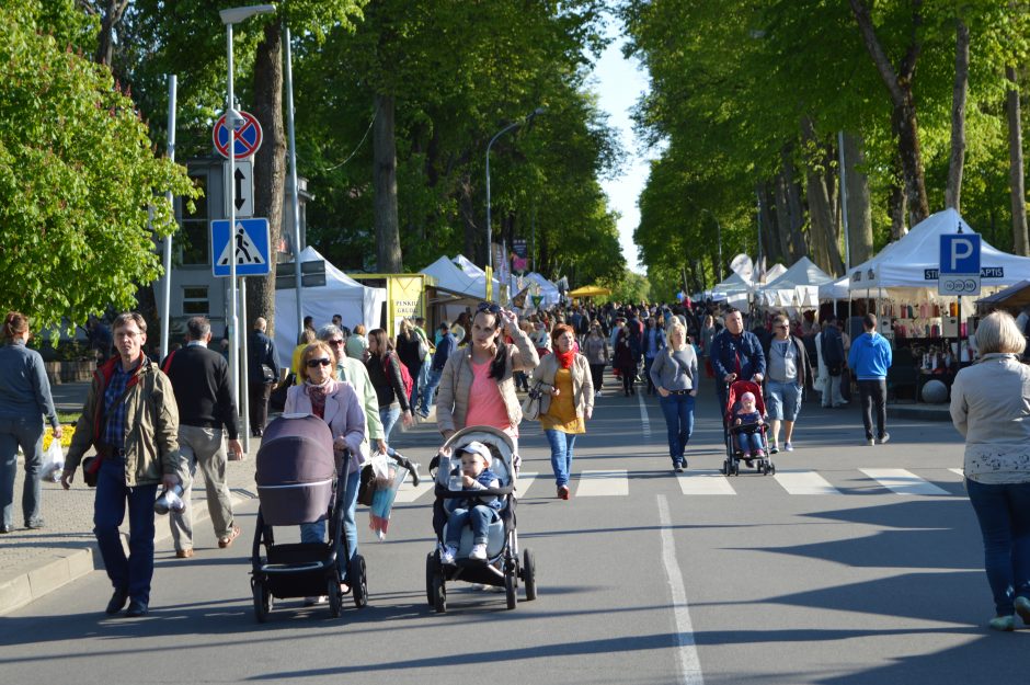 Palanga pasitinka vasarą – savaitgalį kviečia į Kurorto šventę