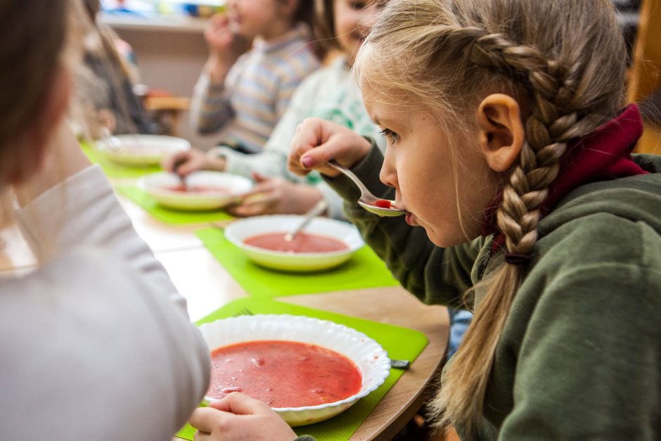 Uostamiesčio darželiuose pasigendama tvarkos