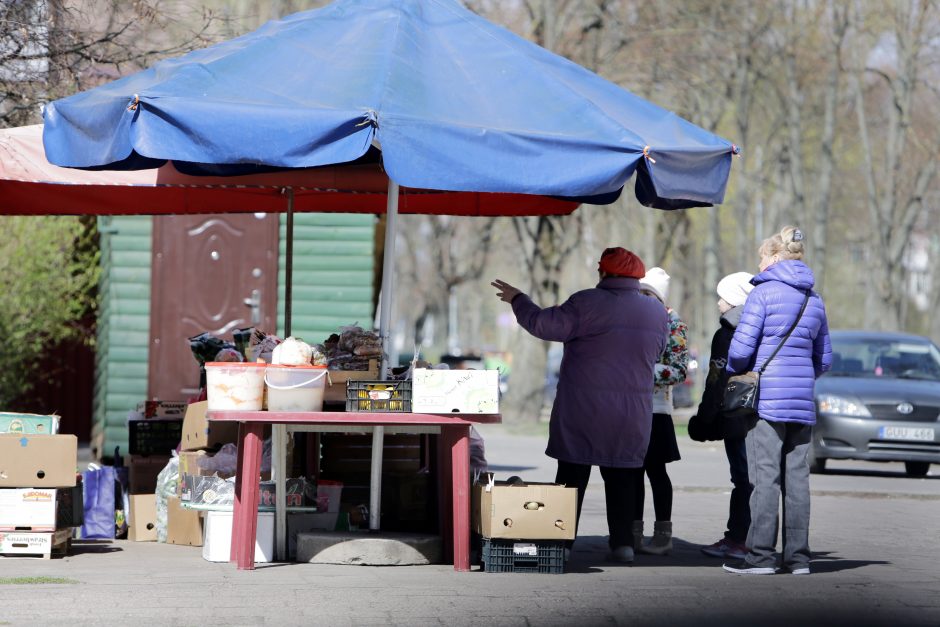 Pajūrio verslininkai ruošiasi vasarai