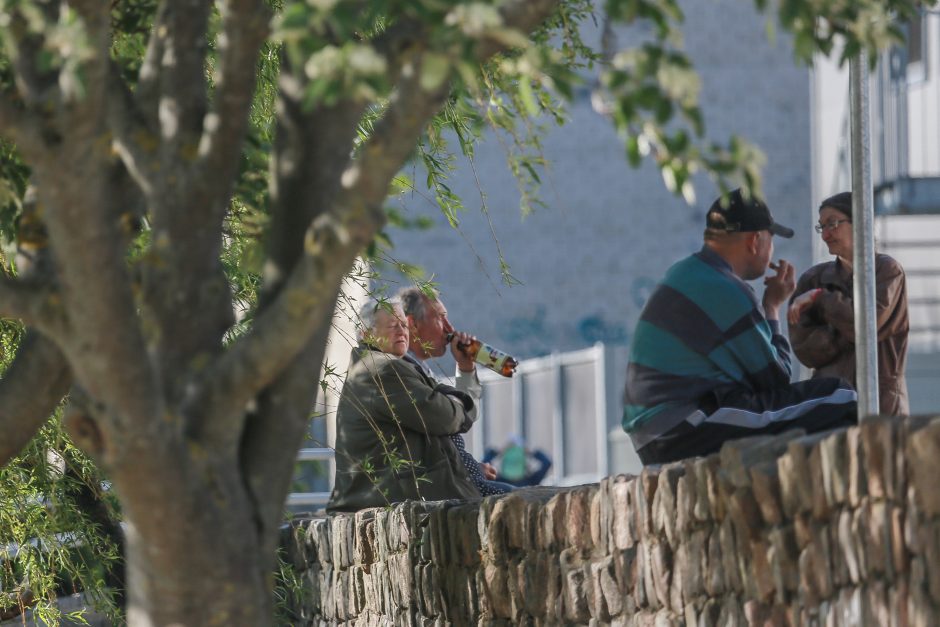 Uostamiesčio parkuose – girtuoklių orgijos