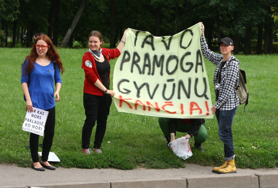 Gyvūnai cirke žmones tebeverčia laužyti ietis