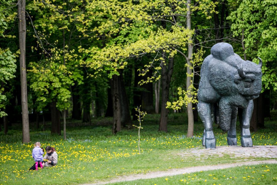 Permainų vėjai įsisuks ir į saugomą Ąžuolyną