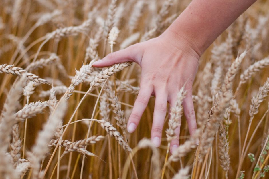 „Agrowill Group“ norui kurti didžiausią Europoje ekologinį ūkį – kritika