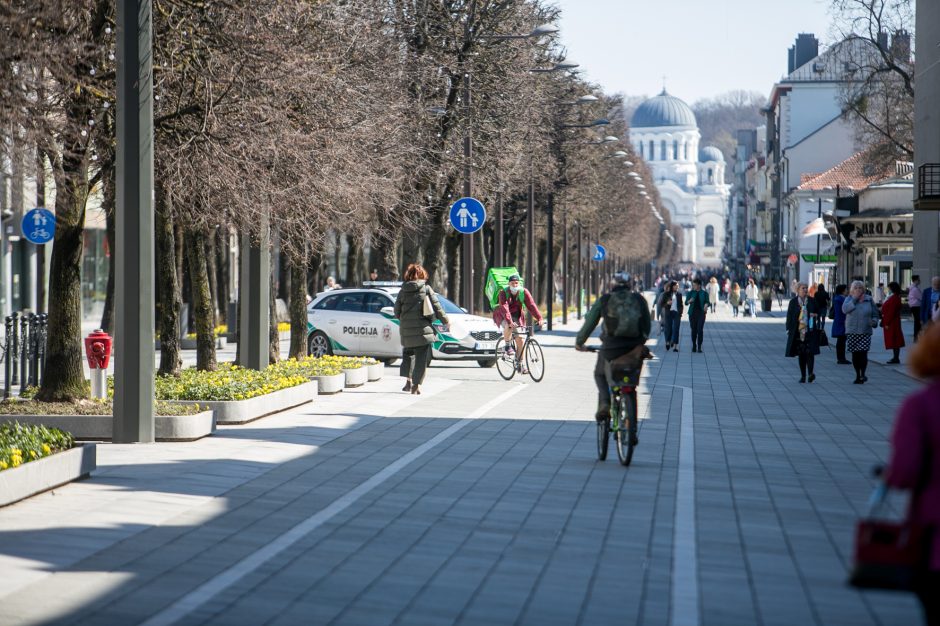 Architektai susirinko palaikyti teisiamą A. Karalių: nusikaltėliai pučia burbulus