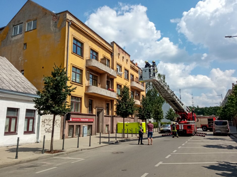 Palangės kaliniu tapęs šuo pasirinko ugniagesių autokopėčias, o ne oro pagalvę