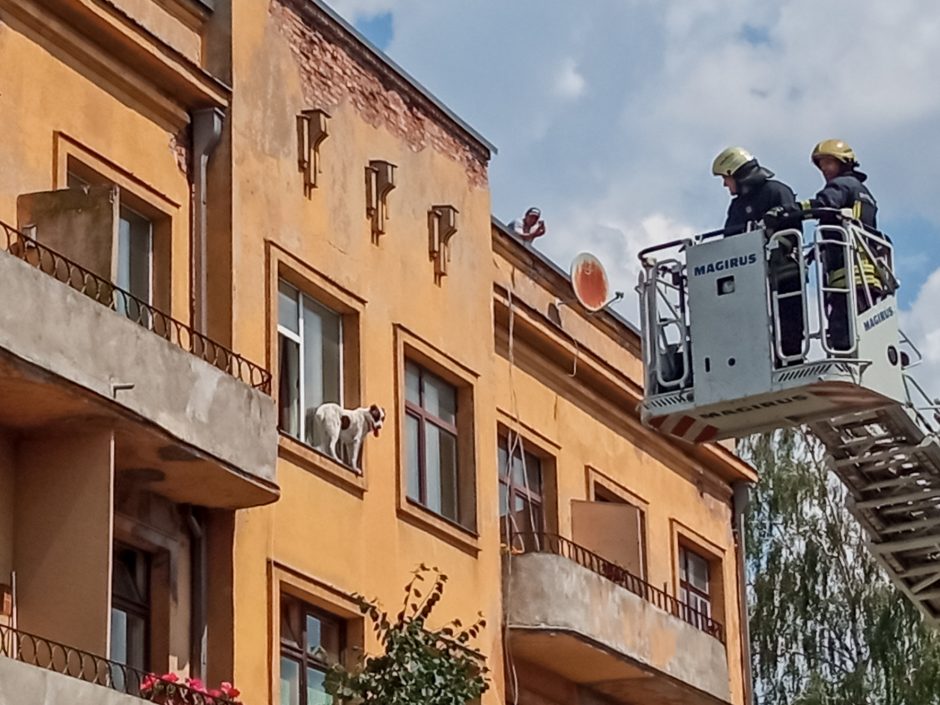 Palangės kaliniu tapęs šuo pasirinko ugniagesių autokopėčias, o ne oro pagalvę