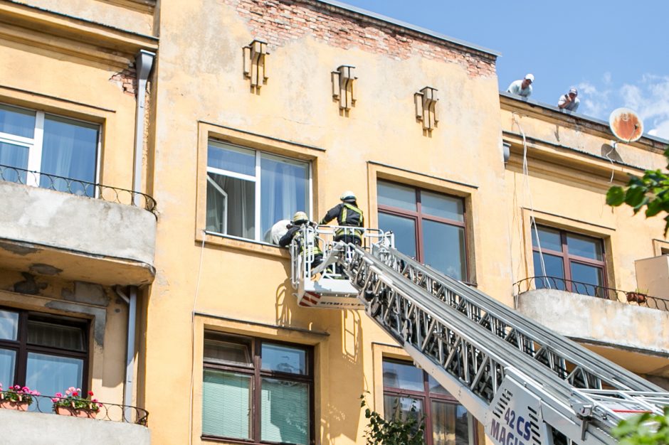 Palangės kaliniu tapęs šuo pasirinko ugniagesių autokopėčias, o ne oro pagalvę