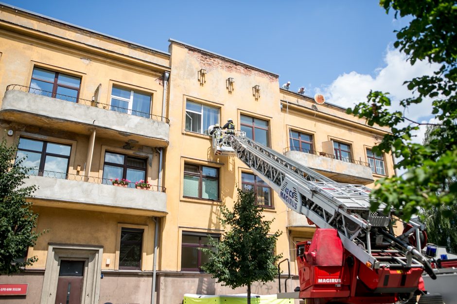 Palangės kaliniu tapęs šuo pasirinko ugniagesių autokopėčias, o ne oro pagalvę