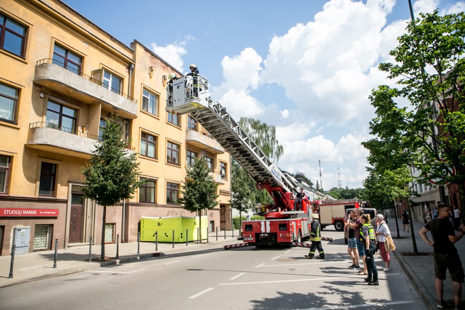 Palangės kaliniu tapęs šuo pasirinko ugniagesių autokopėčias, o ne oro pagalvę