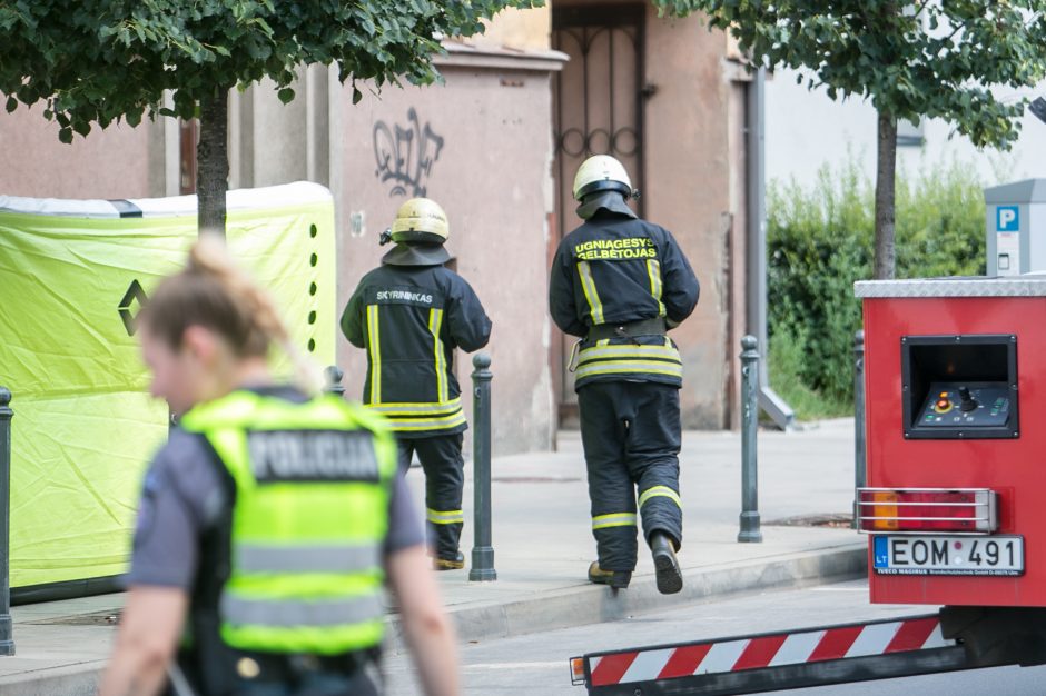 Palangės kaliniu tapęs šuo pasirinko ugniagesių autokopėčias, o ne oro pagalvę