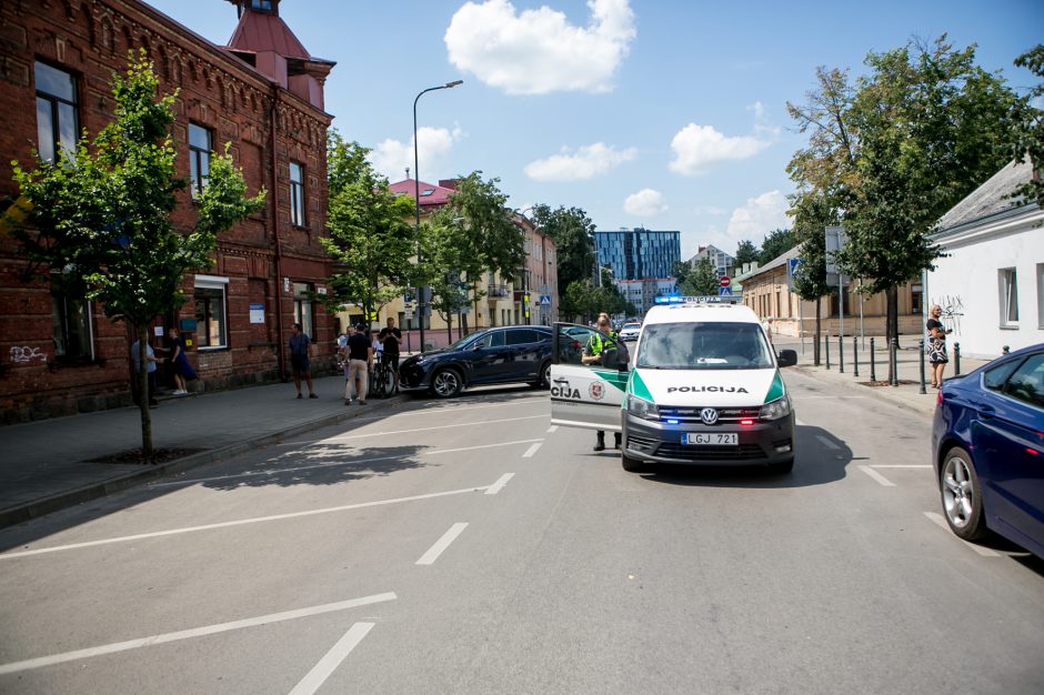 Palangės kaliniu tapęs šuo pasirinko ugniagesių autokopėčias, o ne oro pagalvę