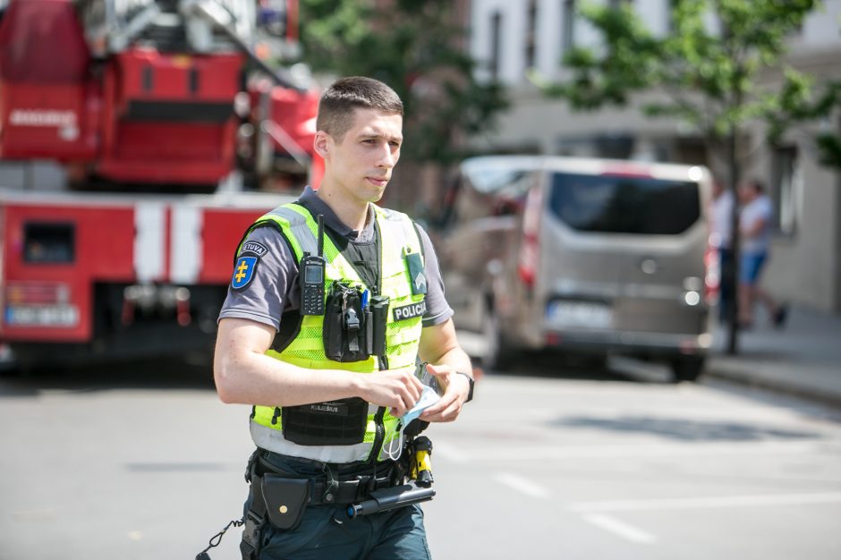 Palangės kaliniu tapęs šuo pasirinko ugniagesių autokopėčias, o ne oro pagalvę