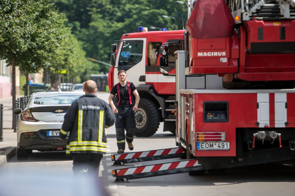 Palangės kaliniu tapęs šuo pasirinko ugniagesių autokopėčias, o ne oro pagalvę