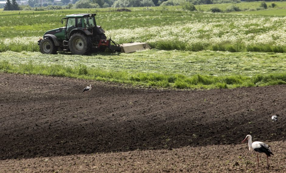 Premjerė: pasėlių deklaravimą norėtųsi vertinti ne pagal atskirus epizodus