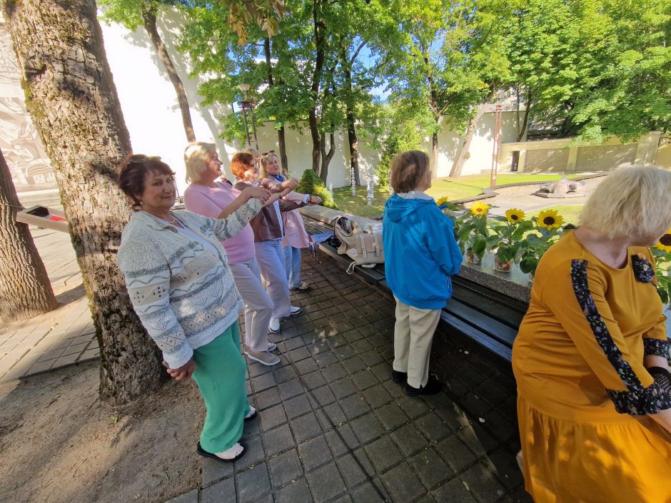 Vasaros saulėgrįža – tarp saulės laikrodžių