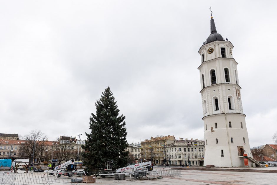 Katedros aikštėje jau stovi Kalėdų eglė