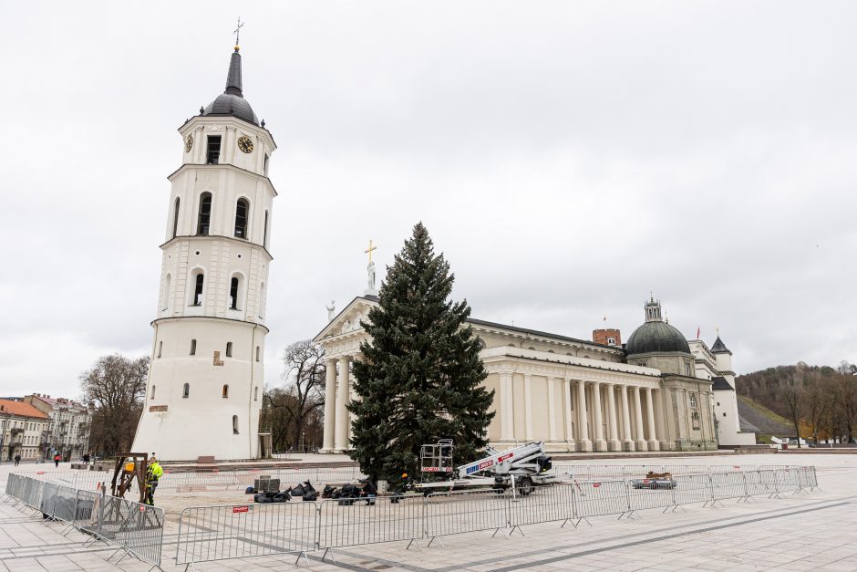 Katedros aikštėje jau stovi Kalėdų eglė