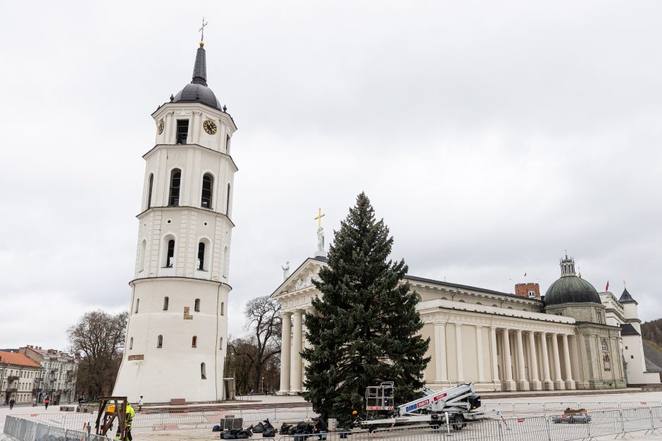 Katedros aikštėje jau stovi Kalėdų eglė