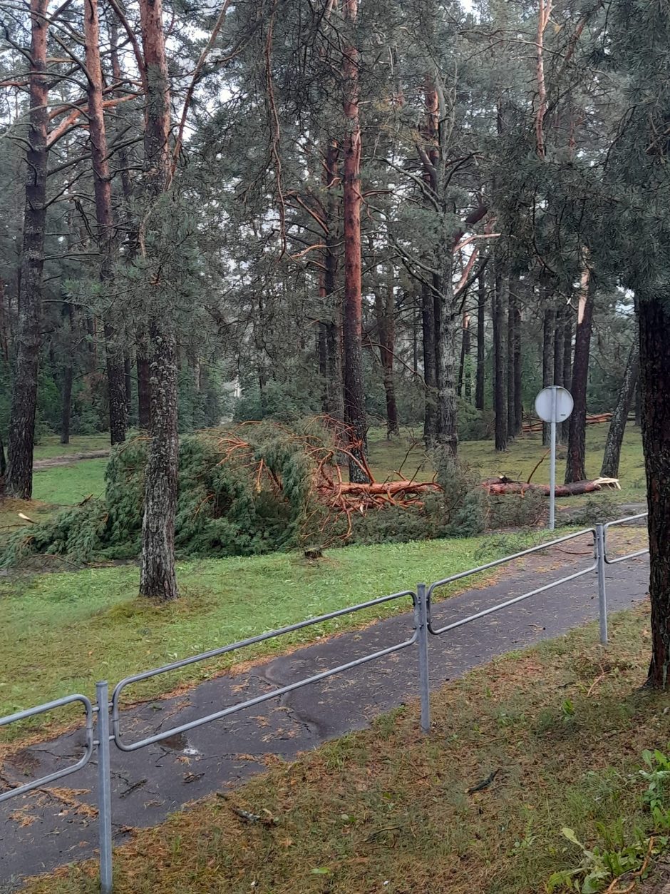 Ignalinoje praūžė audra: apsemtos gatvės, nutraukti elektros laidai