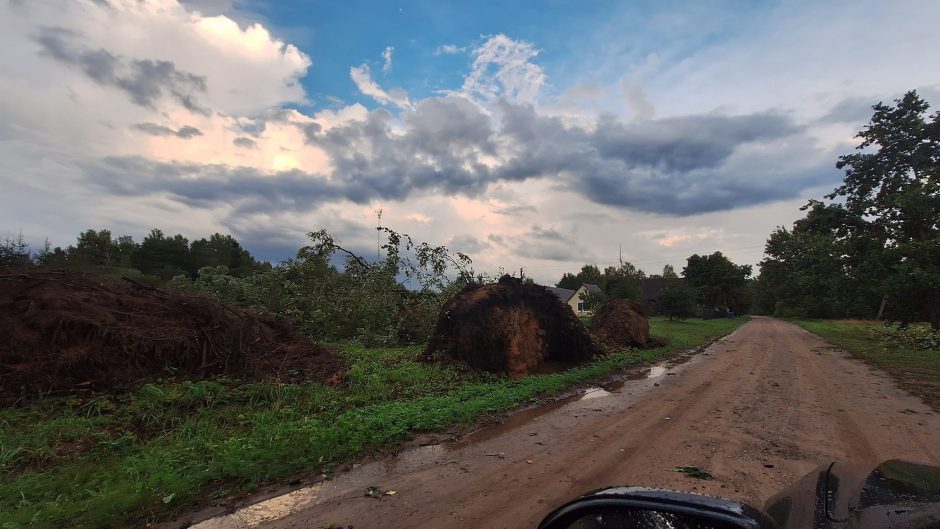 Per Lietuvą slenka audra: kai kur iškrito didžiuliai krušos ledėkai